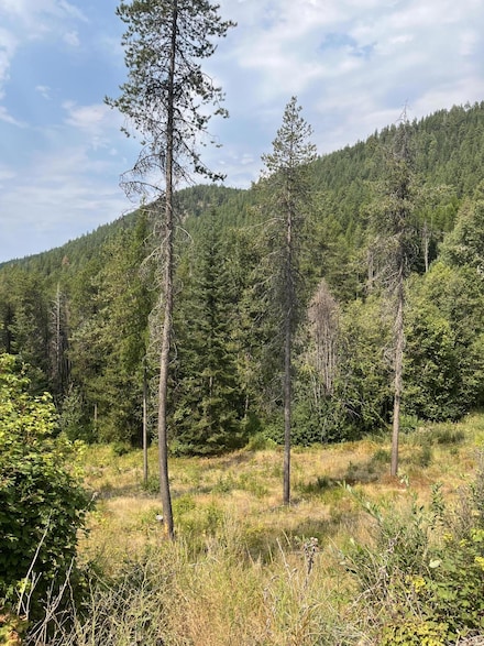 LOT 16 Kaniksu Rd, Chewelah, WA 99109