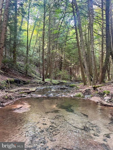 2500 Beech Creek Mountain Rd, Beech Creek, PA 16822