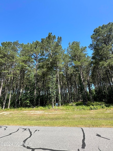 445 Riversound, Edenton, NC 27932