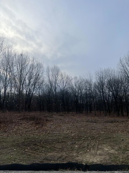 16 Terrano Way, Crown Point, IN 46307