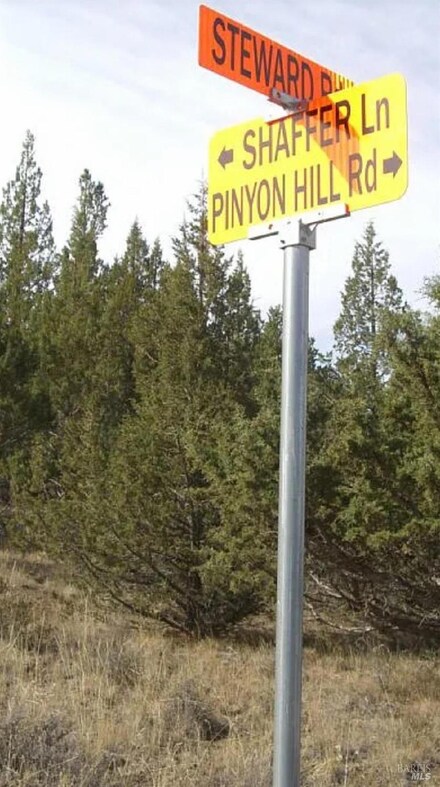 0 Shaffer, Alturas, CA 96101