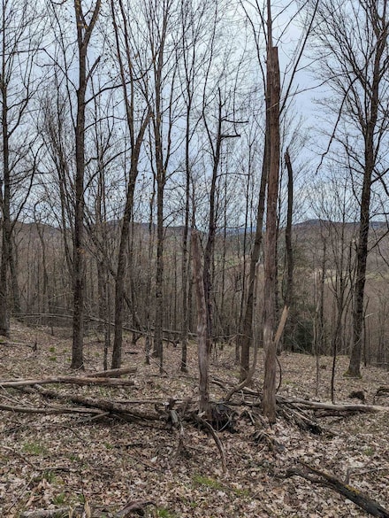 449 & 120 Dodd Rd, Fairfield, VT 05448