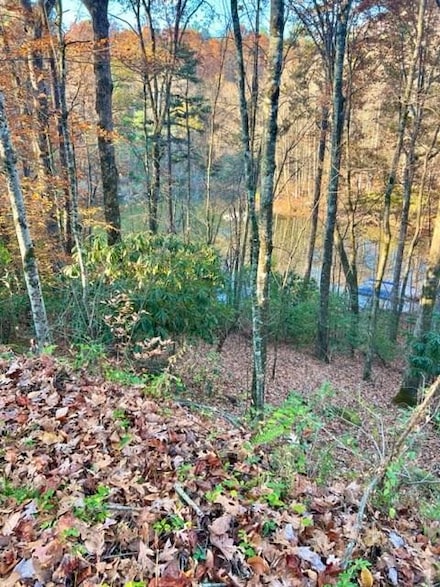 00 Lakeside Terrace, Robbinsville, NC 28771