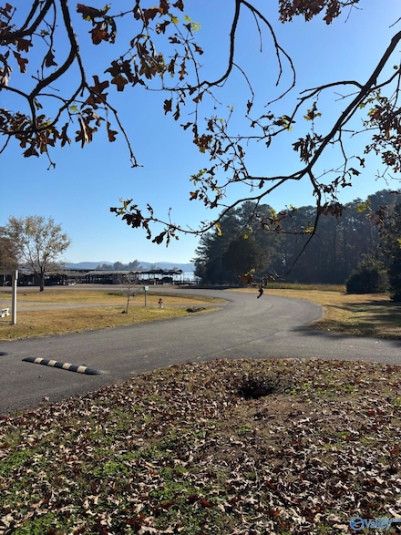 Lot 30 & 31 Wooduck Ln Unit 30 & 31, Guntersville, AL 35976