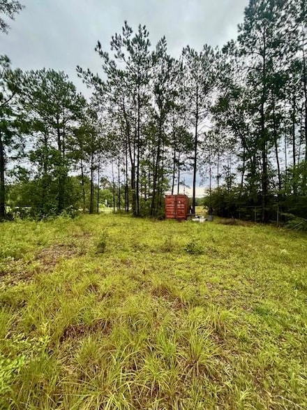 NHN Highway 11 N, Carriere, MS 39426