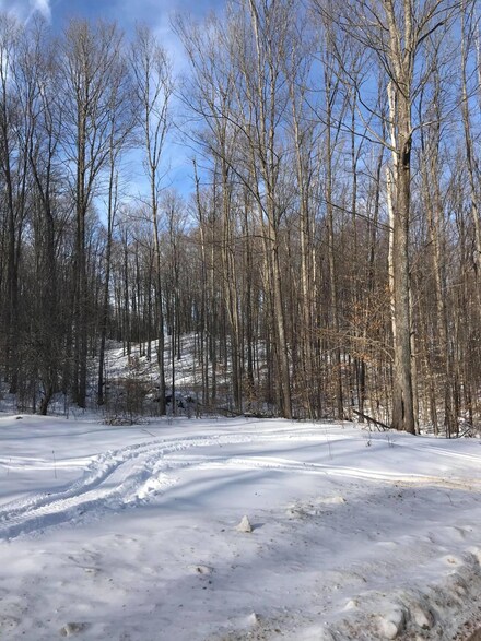 2201 N Mt Tom Rd Unit 4.7 acres, Mio, MI 48647