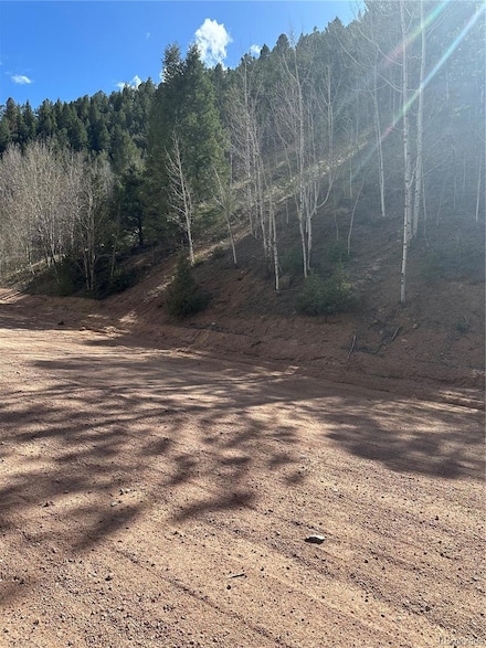 0 County Road 61 Unit REC8609443, Divide, CO 80814
