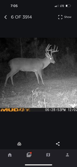 17.5 ac County Road 67, Clopton, AL 36317