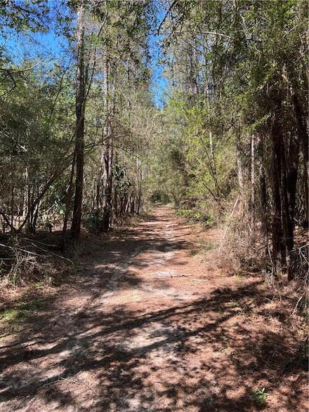 0 Elmore McKigney Ln, Springfield, LA 70462