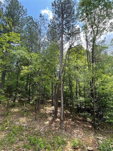 687 Timber Creek Trails South Xl, Broken Bow, OK 74728