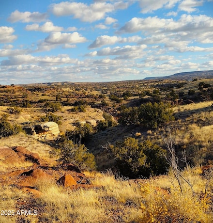 Lot -35 River Springs Ranch -- Unit 35, Saint Johns, AZ 85936