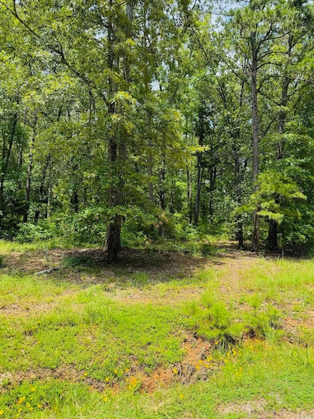 Lot 49 Primrose Creek, Heber Springs, AR 72543