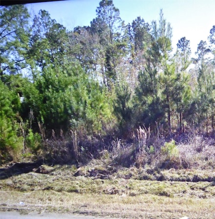 50 County Road 3479a, Cleveland, TX 77327