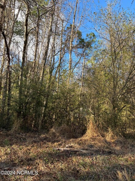 351 Burgaw Creek Loop Rd, Burgaw, NC 28425