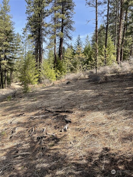 1 Harker Canyon Rd, Davenport, WA 99122