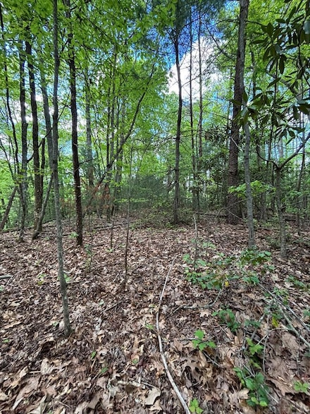 00 Hannah Ridge Rd, Otto, NC 28763