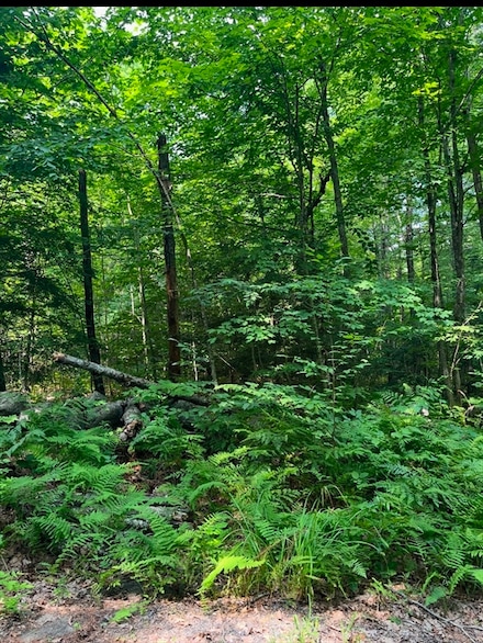 0 Laurel Lake Rd, Royalston, MA 01331