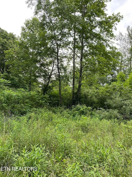 Lot 2R2 Mill Rd, Wartburg, TN 37887