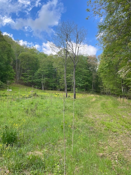 00 Route 22, Sugar Grove, WV 26815