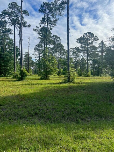 TBD Swann Dr E, Cordele, GA 31015