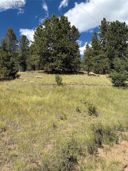 3190 N Mountain Estates Rd, Florissant, CO 80816