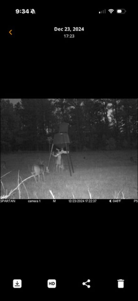 County Road 37, Fitzpatrick, AL 36029