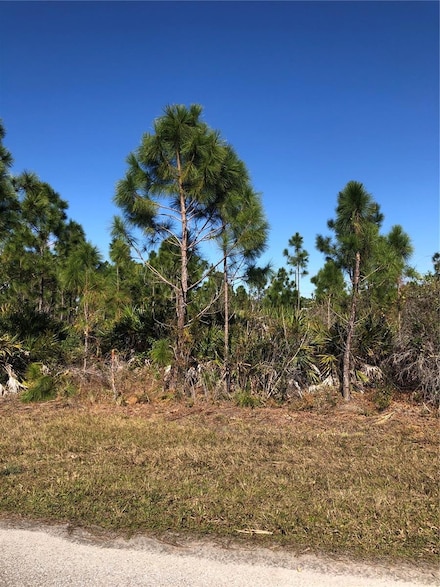 14042 Paris Ln, South Gulf Cove, FL 33981