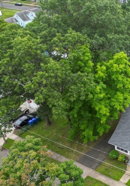0 Homestead Ave, Springfield, MA 01151
