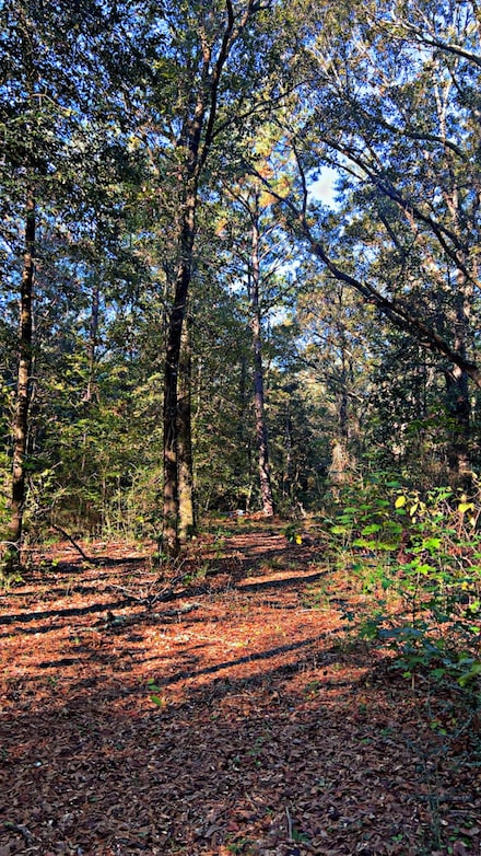 8092 Highway 393, Laurel Hill, FL 32567