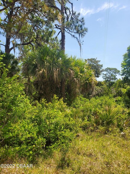 '0' Osteen St, Oak Hill, FL 32759