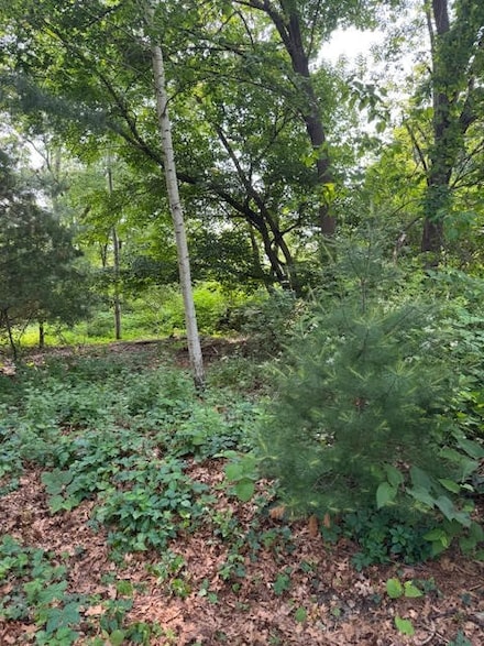 0 Elmwood Ave, Warwick, RI 02886