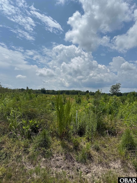 TBD Cove Rd Unit Lot 3, New Hope, NC 27944