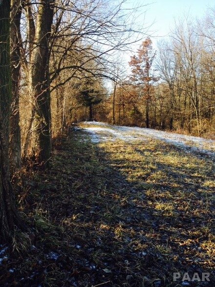 0 W Southport Unit 1148859, Brimfield, IL 61517
