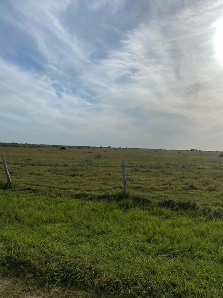 0 Cr 384 South Citrus Rd (Bowers Rd ), Collegeport, TX 77465