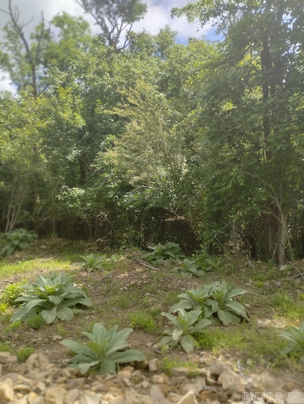 xx Lot # 6 Castle, Glenwood, AR 71943