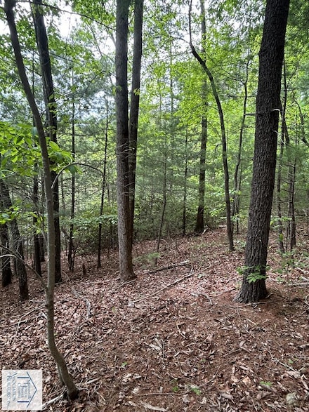 00 NE Hatchers Chapel Rd, Claudville, VA 24076