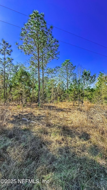 515 Interlachen Blvd, Interlachen, FL 32148