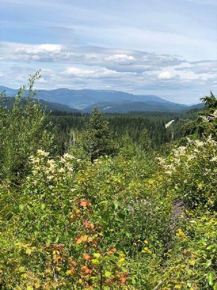 0 Lime Lake Rd, Metaline Falls, WA 99153