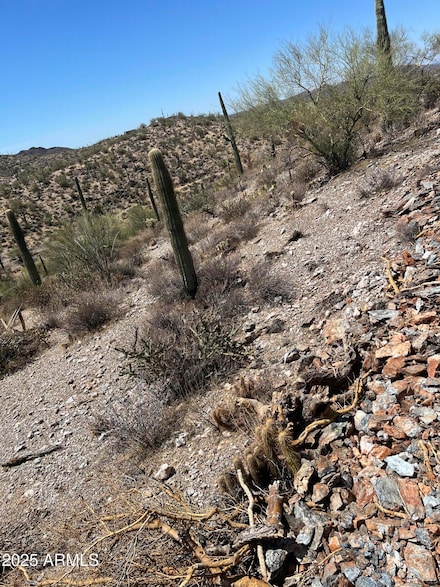 11XX S Hardt Tank S Lot 4 Rd, Queen Valley, AZ 85118