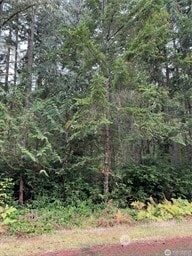 10508 Anchor Place, Anderson Island, WA 98303