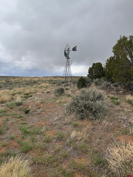 TBD Road 7, Dove Creek, CO 81324