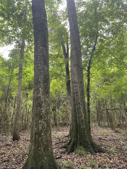 001 Highway 28, Hazlehurst, MS 39083