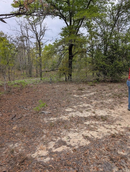 00 Kaycee Jean, Defuniak Springs, FL 32433