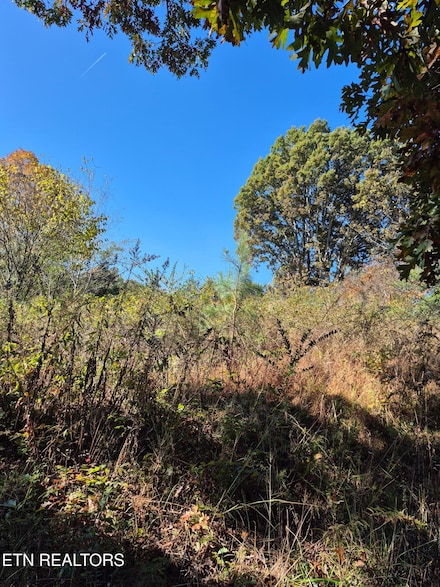 0 County Road 299 Unit 1321487, Sweetwater, TN 37874