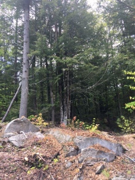 206-011 Lost River Rd, Woodstock, NH 03262