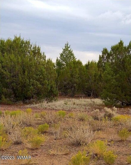 71 County Rd N8148 Parcel 4, Concho, AZ 85924