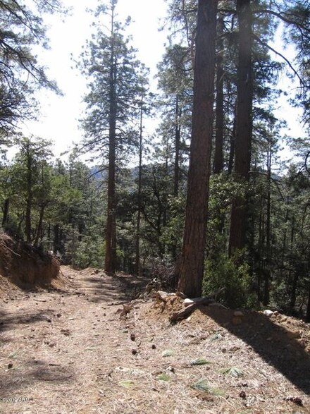 6500 E Demascus Rd, Crown King, AZ 86343