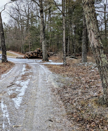 0 Stove Pipe Alley, Gallatin, NY 12523