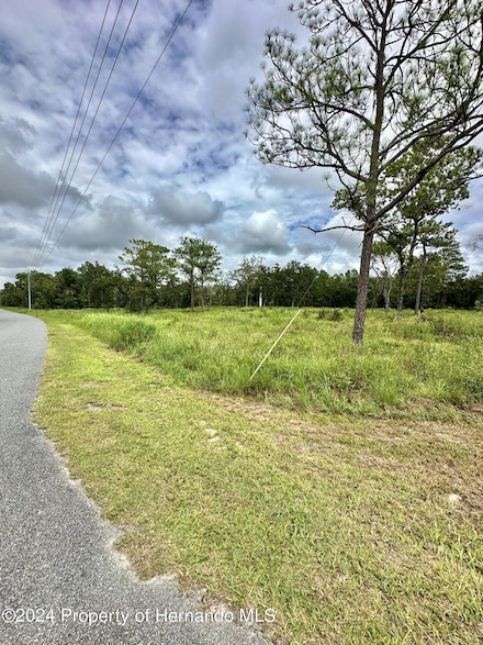 0 Marvelwood Rd Unit 2240699, Weeki Wachee, FL 34614