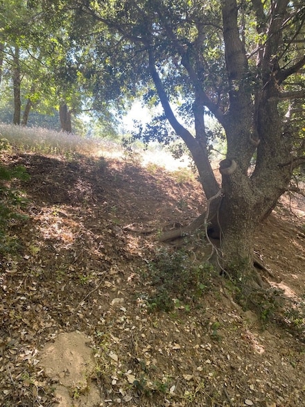 0 Mojave River Rd Unit SR24124372, Cedarpines Park, CA 92322